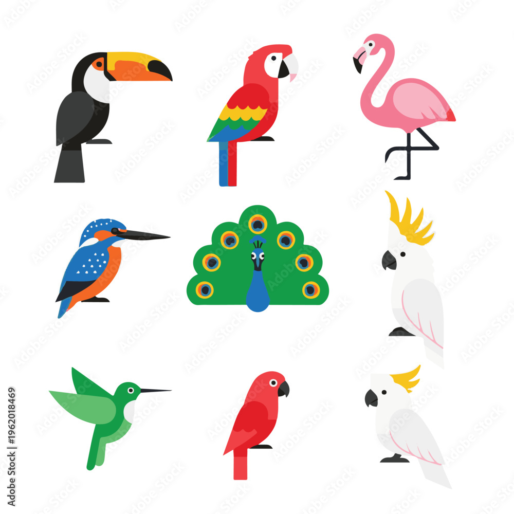 Obraz premium A vibrant collection of various colorful tropical birds including toucan, macaw, flamingo, kingfisher, peacock, cockatoo, hummingbird, and parrot illustrations.
