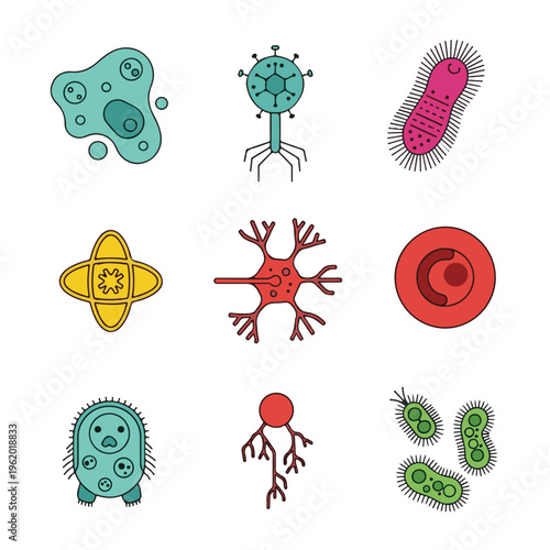 Colorful vector icons illustrating various microscopic cells, bacteria, and viruses, representing biological and medical science.