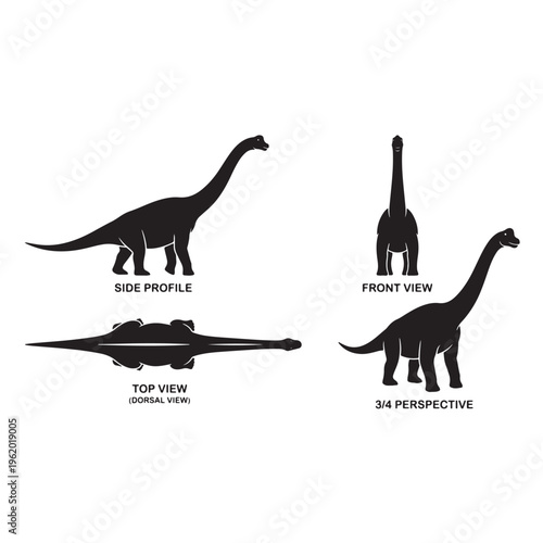 Black vector silhouette illustrations of a Brontosaurus dinosaur from multiple perspectives side, top (dorsal), front, and 3/4 view