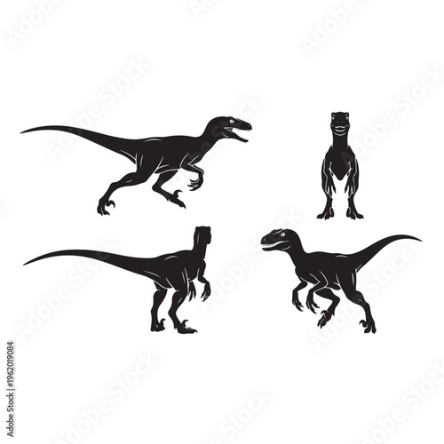 Black vector silhouette illustrations of a raptor dinosaur in various poses, perfect for educational or themed designs