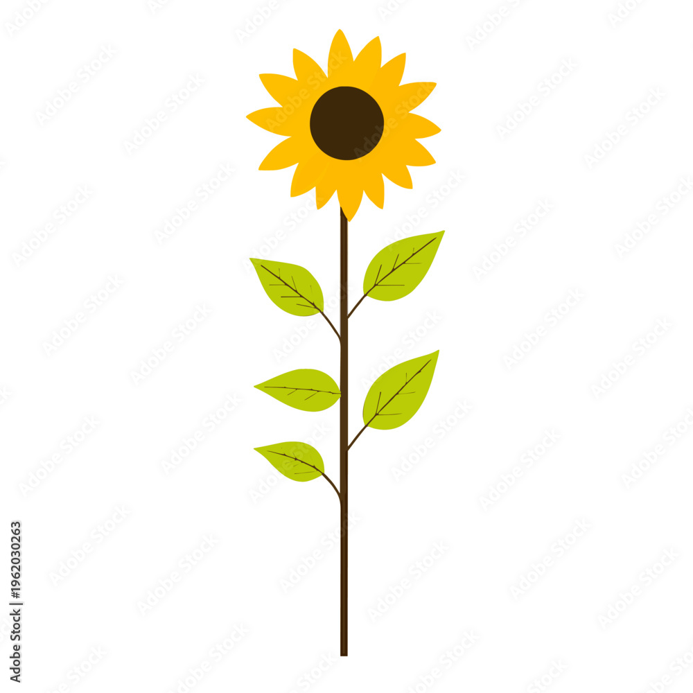 Fototapeta premium Sunflower Illustration Isolated, Single Stem with Green Leaves - Simple Vector Design, Summer Flower Icon, Botanical Graphic on White Background for Print and Web Design Projects