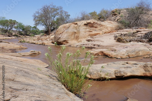 Foto Fluss Tsavo River im Tsavo Nationalpark in Kenia