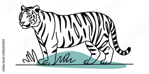 Black and white line art illustration of a majestic tiger standing on a small patch of grass Vector, illustration