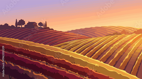 A beautiful vector illustration of a Tuscan vineyard at sunset. Rolling hills with grapevines in warm autumn colors create a peaceful, scenic rural landscape. Ideal for wine or travel.