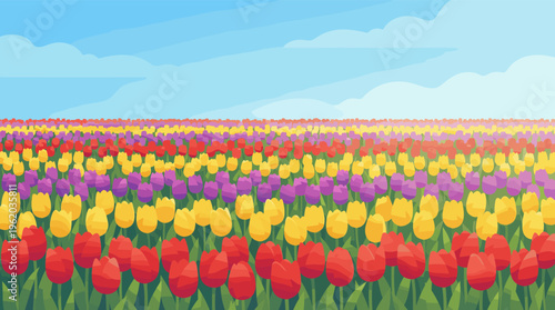 A vibrant vector illustration of a colorful tulip field in spring. This idyllic landscape with red, yellow, and purple flowers is perfect for nature or seasonal backgrounds.