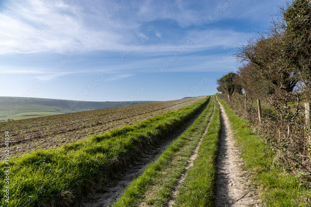 Naklejka premium A pathway running alongside farmland in the South Downs, with a blue sky overhead