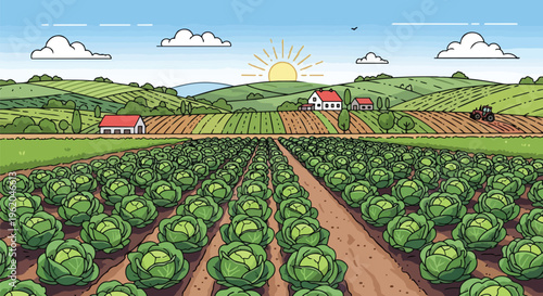Cabbage Field Farm Landscape with Rolling Hills and Sunny Sky