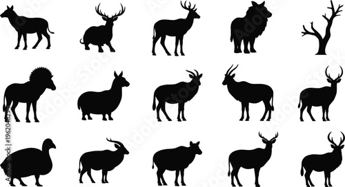 Black silhouettes of various wild animals and tree on white background