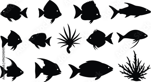 Black fish silhouettes on white background sea creatures