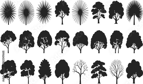 Silhouette illustration of diverse tree shapes including palm and deciduous varieties, showcasing branching patterns, foliage density, seasonal forest artwork, botanical design inspiration