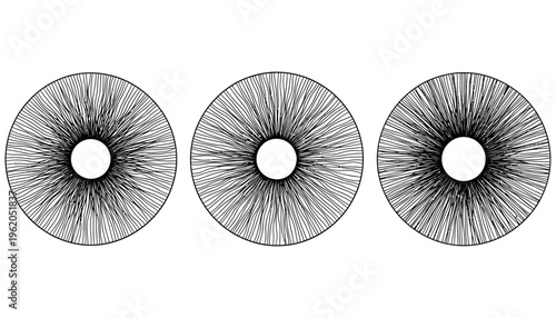 Three abstract circular patterns with radiating fine black lines emanating from a central white circle creating a symmetrical radial design symmetry thin graphic modern minimalist