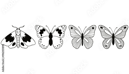 Four distinct outline illustrations of moths and butterflies featuring varied wing patterns and detailed line art displayed side by side butterfly insect drawing graphic design