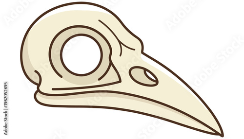 Simple illustration of a light brown bird skull with dark outlines and internal details showcasing the eye socket and beak structure avian skull animal skeleton bone cranium