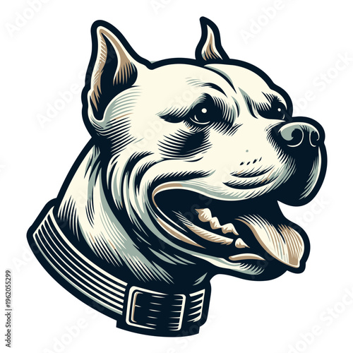 American pitbul terrier vector and illustration.