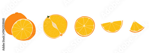Set of illustrations of ripe orange fruits showing different stages of cutting from whole fruit to small slices, isolated on white background.