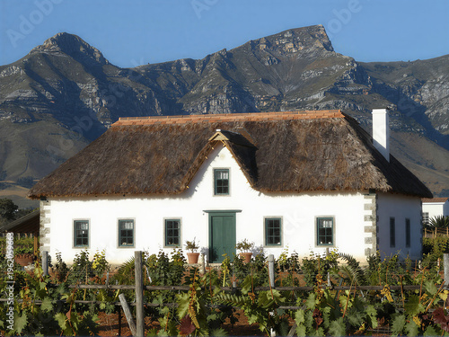 Cape Dutch manor house in vineyard