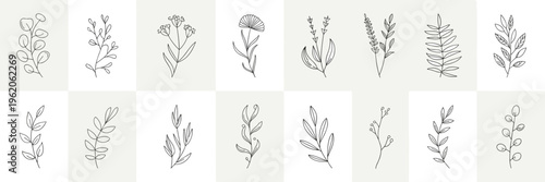 Hand-drawn botanical line art for elegant branding – Ideal for wedding invitations, skincare packaging, or boutique stationery.