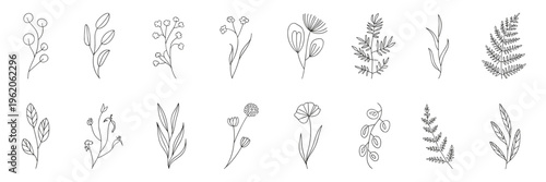 Minimalist botanical sketches and floral line icons – Great for organic product labels, eco-friendly branding, or garden blogs.
