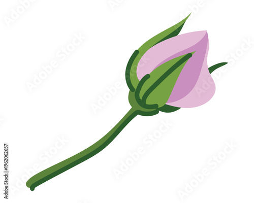 Vector illustration of a pink rosebud in a flat style. An ingredient in Mei Gai Hua Cha flower tea, popular in China. The Damask rose is used in traditional beverages in the Indian state of Kashmir.