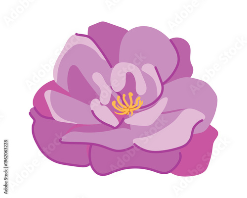 A flat vector image of a damask rose. It is used as a raw material for aromatic oils, extracts, and esters in cosmetics and perfumes. This delicate pink flower is popular in Bulgaria, Iran, and Syria.