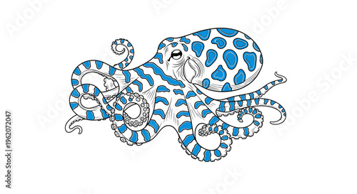 Blue and white octopus illustration.