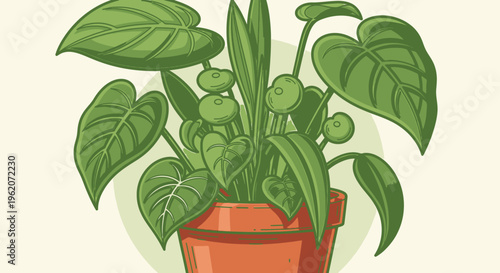 Green plant in terracotta pot indoors.