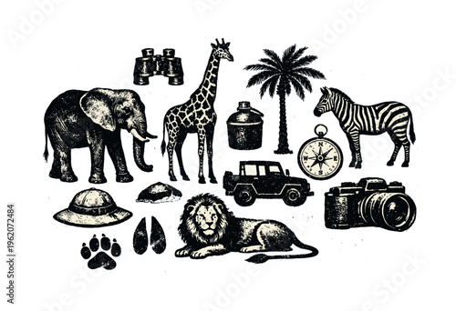A safari wildlife themed collection of isolated animals, gear, and natural elements, designed as a vintage exploration reference sheet of individual assets,