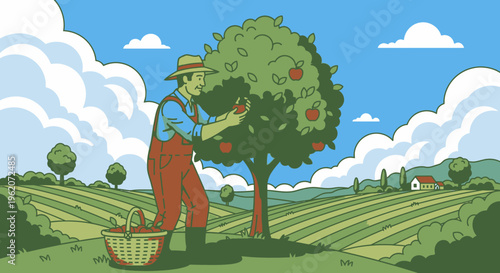 Man picking apples from tree.