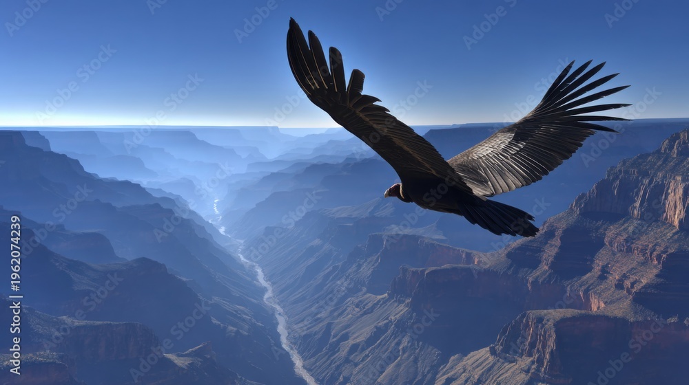 Fototapeta premium Majestic condor soaring effortlessly over the vast, majestic Grand Canyon landscape under a clear blue sky.