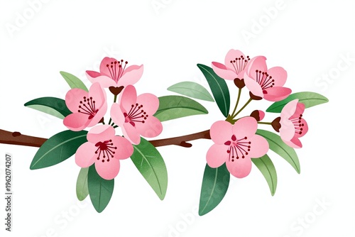 A branch with pink flowers and green leaves_2