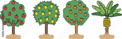 Set of four cartoon fruit trees featuring red apple lemon orange and yellow banana tree isolated on white background for garden and agriculture design