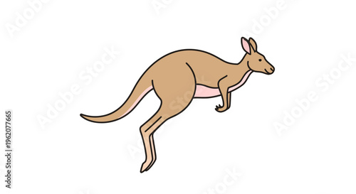 A kangaroo in mid hop motion.