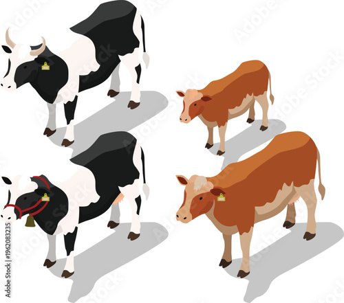 Isometric dairy cow livestock set illustration