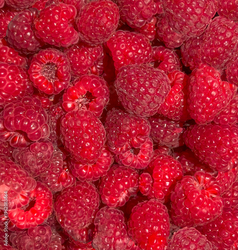 raspberries background. Ripe raspberry background