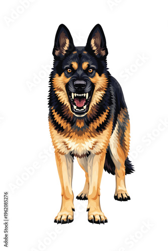 A cute purebred German Shepherd dog and a young puppy sit together on an isolated white background for a professional studio portrait showing the domestic canine breed's pedigree