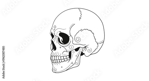 Sugar Skull, Vector Skull Illustration, Black and White, Day of the Dead Icon, Graphic Design Element