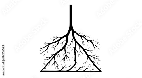 Branching River Delta Vector Illustration Stencil on White Background