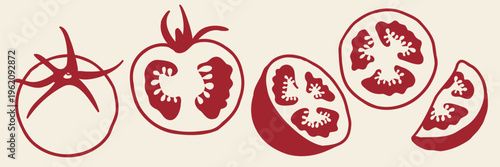 Hand drawn tomato element set in horizontal composition with whole fruits and slices. Mediterranean food vector illustration perfect for packaging, menu and branding.