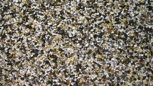 Wallpaper Mural Stone background. Close-up of wet small aquarium pebbles. Decorative natural stone for decoration.
 Torontodigital.ca