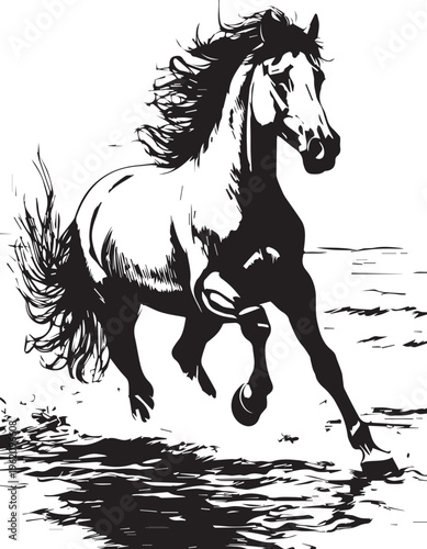 High-Quality Black & White Horse Vector