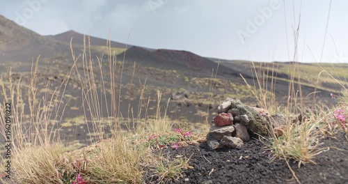 Colorful volcanic rocks and dry plants on the foreground of dark hills, Sicily