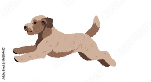 A shaggy brown dog with floppy ears is depicted running and leaping across a plain white background.