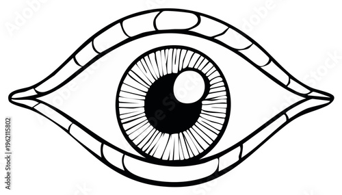 Stylized Eye Illustration: Bold Outline, Detailed Iris, Line Art Symbol, Vision Concept, Decorative Element