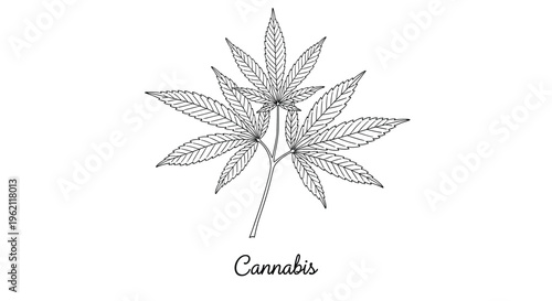 Simple and elegant black and white line drawing of a multi-fingered cannabis leaf on a plain white background for medical or legal use.