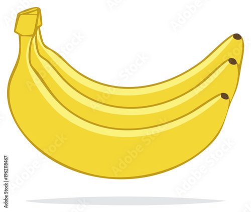 Bunch of Yellow Ripe Bananas Fruit Illustration