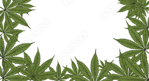 Natural frame made of green cannabis or hemp leaves arranged around the borders of a clean white empty central space.