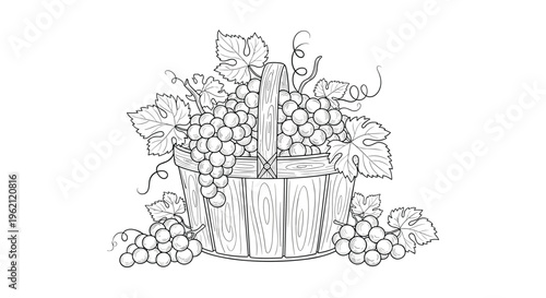 Detailed black and white line art illustration of a wooden basket overflowing with ripe grape bunches and vine leaves.