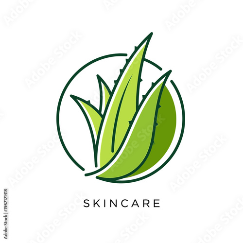 Aloe vera leaf logo design for skincare and natural beauty products