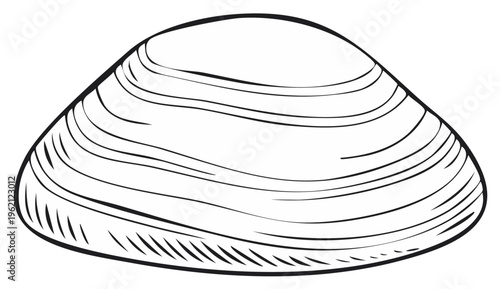 Isolated Vector Illustration Depicting a Bivalve Seashell with Prominent Growth Rings and a Smooth Surface