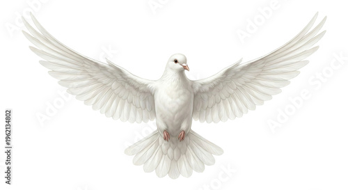 White Dove in Flight